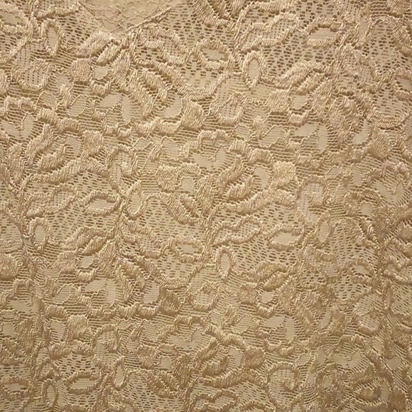 Emma James By Liz Claiborne Company Lace Pale Olive Blouse - Size XL - Picture 2 of 6